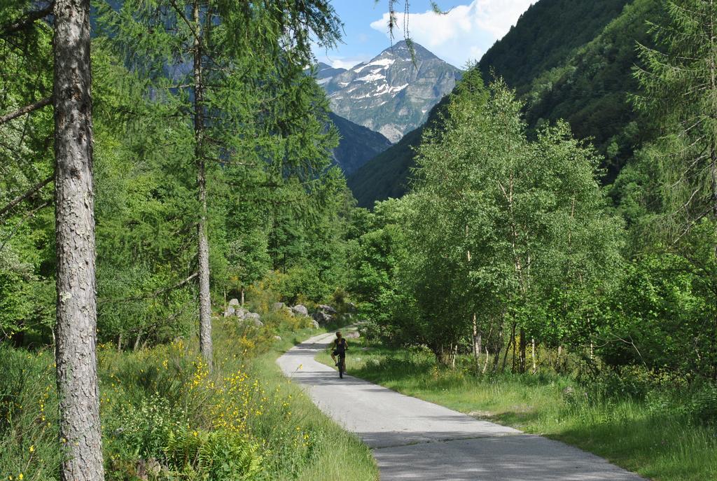 Myverzasca Resort Casa Rossa Brione  エクステリア 写真